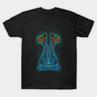 Aquarius 1c Black T-Shirt